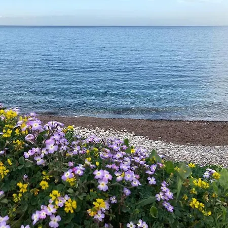 Walk On The Beach In Seconds - Studio With Apollon Beach View Balcony Daire *