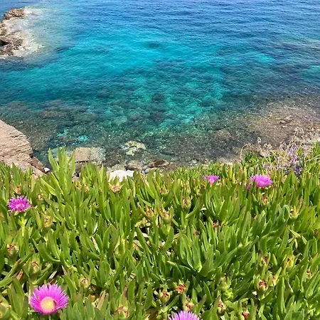 Walk On The Beach In Seconds - Studio With Apollon Beach View Balcony Daire Apollon (Naxos)